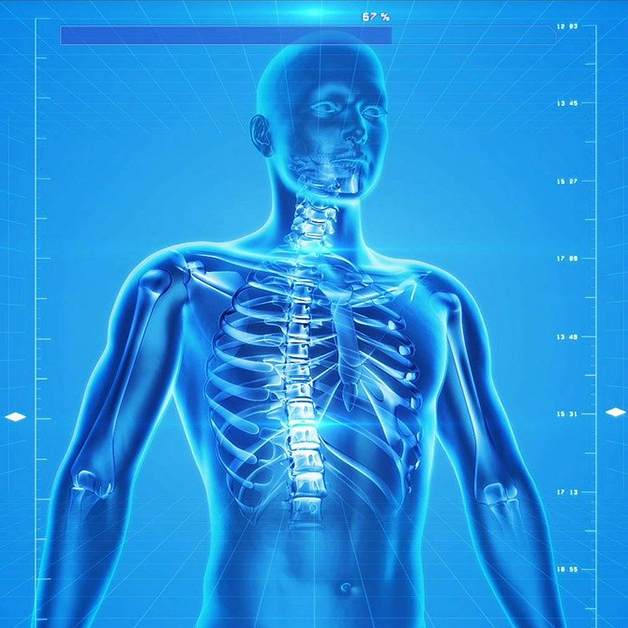 Random-Wellness-and-Bioenergetics (8) (1)